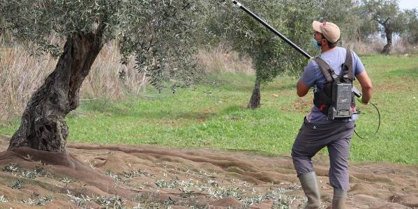 Compra Aceite en Extremadura